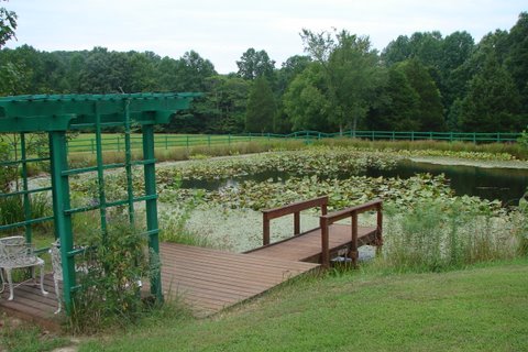 arbor